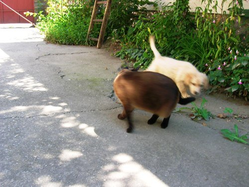 DSCN5161.JPG,  bytes