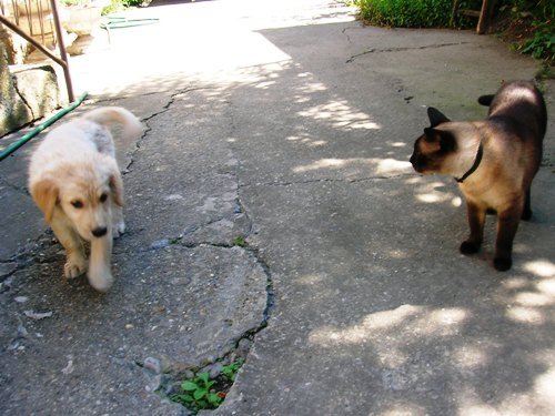 DSCN5163.JPG,  bytes